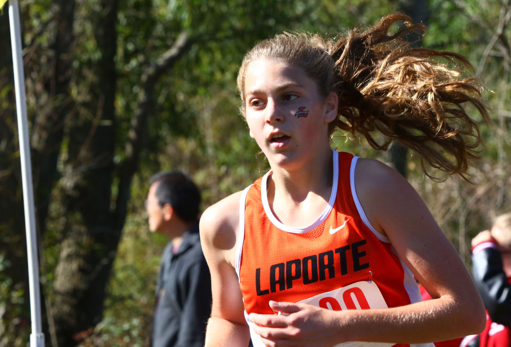Gallery: Duneland Athletic Conference cross country meet